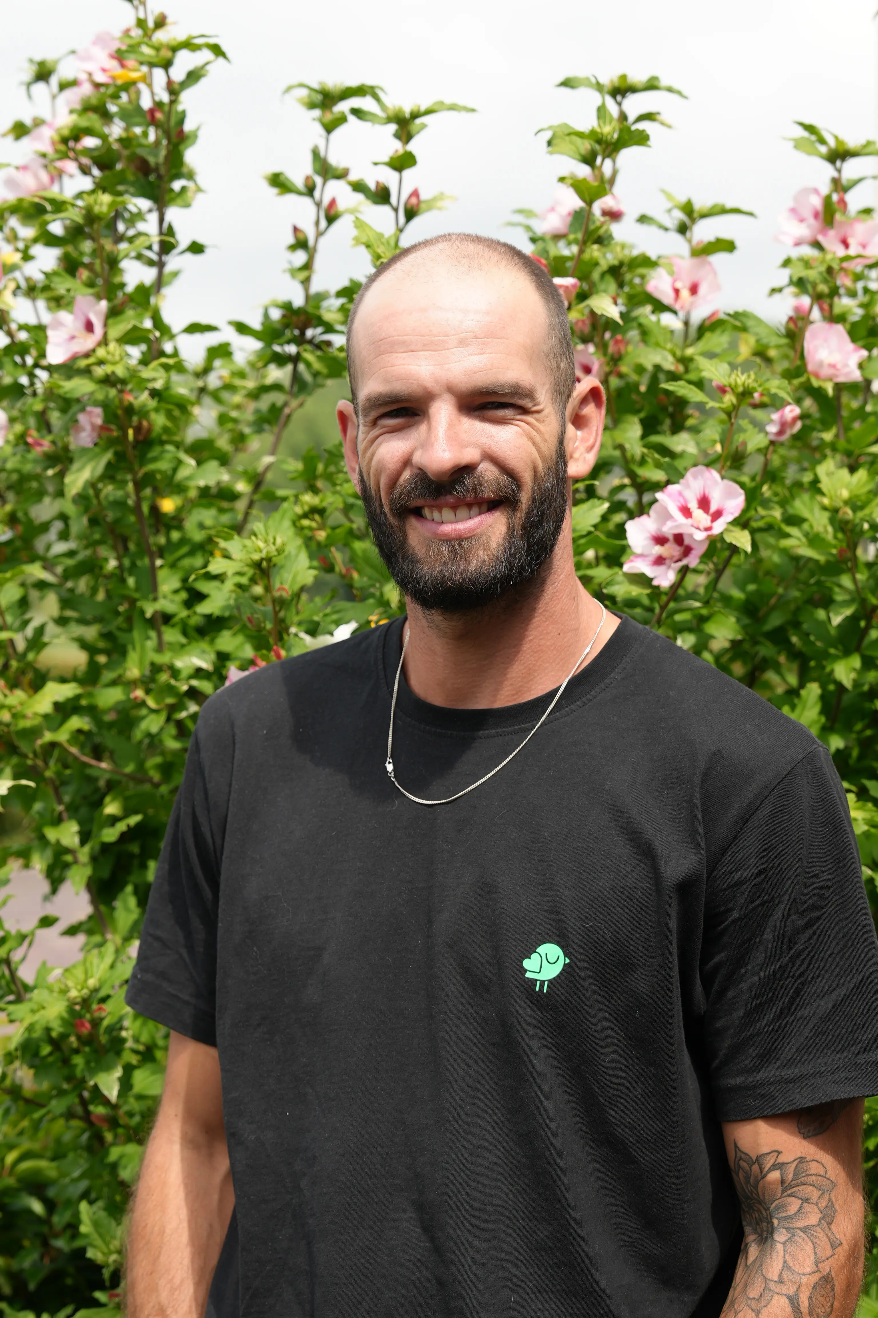 Timmerman van den Berg